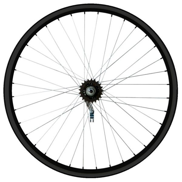 Колесо заднее 28" Rainbow VP20, втулка SF-ST01 с ножным педальным тормозом, черное